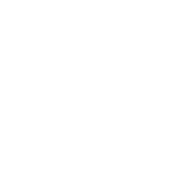 paradise-logo-transparent